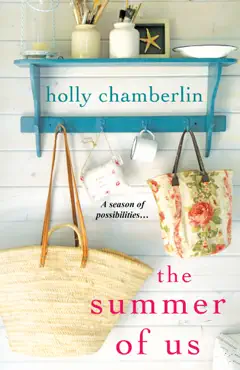 the summer of us book cover image