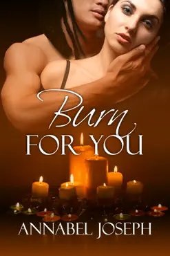 burn for you book cover image