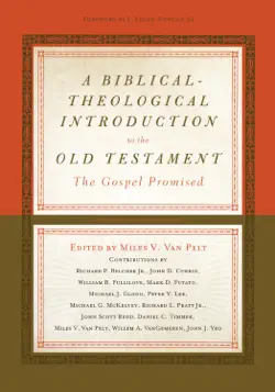 a biblical-theological introduction to the old testament book cover image