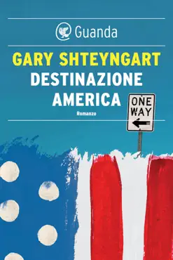 destinazione america book cover image