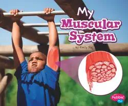 my muscular system book cover image