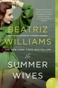 the summer wives book cover image