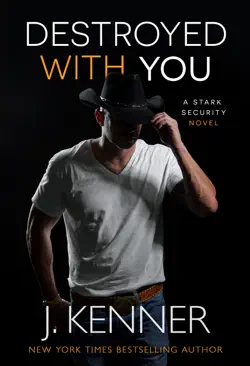 destroyed with you book cover image