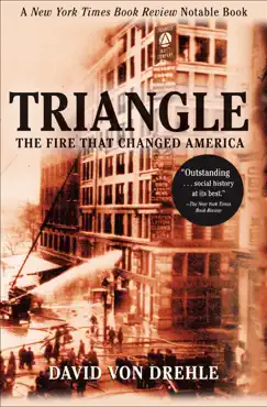 triangle book cover image