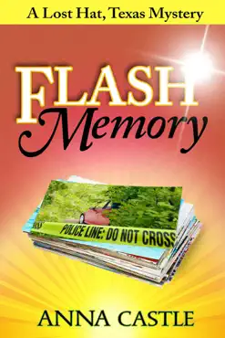 flash memory book cover image
