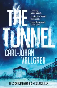 the tunnel book cover image