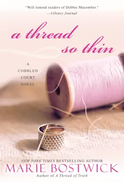 a thread so thin book cover image