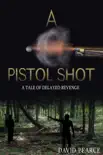 A Pistol Shot synopsis, comments
