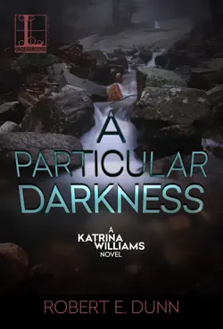 a particular darkness book cover image