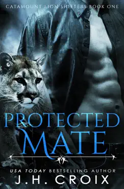 protected mate book cover image