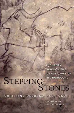 stepping-stones book cover image