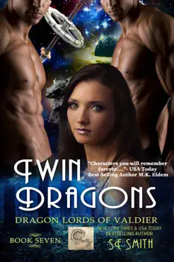 twin dragons book cover image
