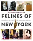 Felines of New York synopsis, comments