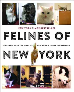 felines of new york book cover image