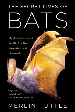 the secret lives of bats book cover image
