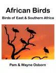 African Birds sinopsis y comentarios