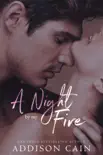 A Night by my Fire synopsis, comments