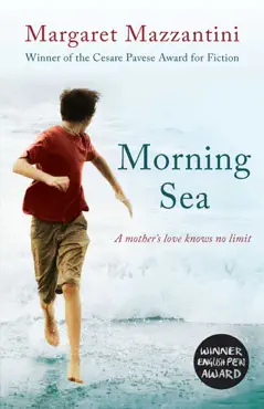 morning sea book cover image
