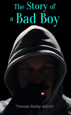 the story of a bad boy book cover image