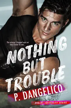 nothing but trouble book cover image