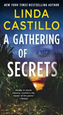 a gathering of secrets book cover image