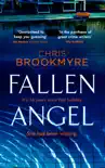 Fallen Angel synopsis, comments