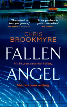 fallen angel book cover image