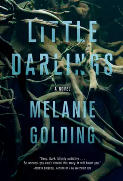 little darlings book cover image