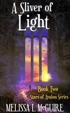a sliver of light book cover image