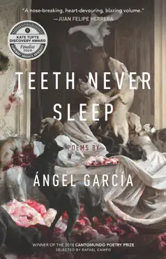 teeth never sleep book cover image