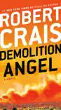 Demolition Angel e-book