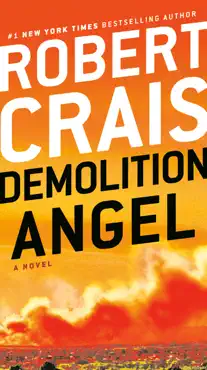 demolition angel book cover image