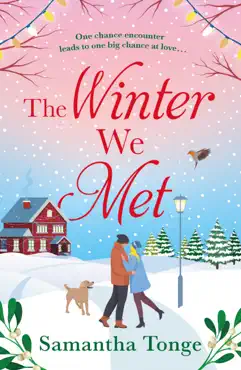 the winter we met book cover image
