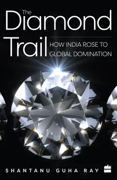 the diamond trail book cover image