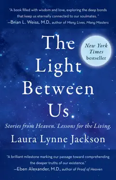 the light between us book cover image