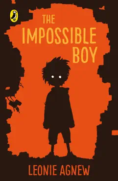 the impossible boy book cover image