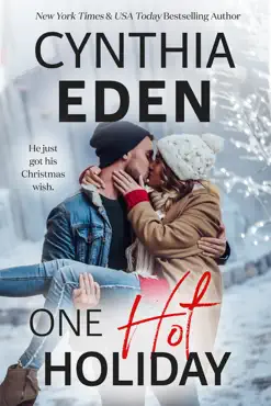 one hot holiday book cover image