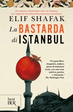 la bastarda di istanbul book cover image