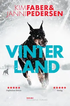 vinterland book cover image