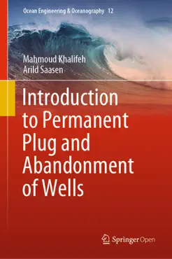 introduction to permanent plug and abandonment of wells book cover image