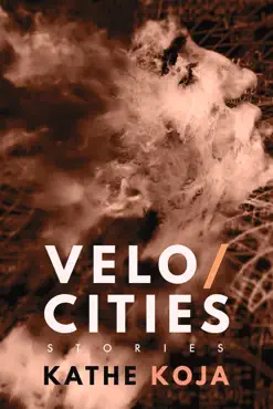 velocities book cover image