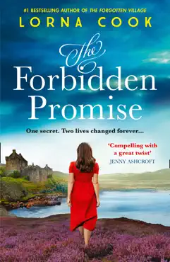 the forbidden promise book cover image
