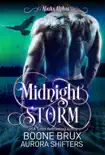 Midnight Storm synopsis, comments