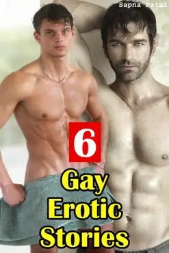 6 gay erotic stories book cover image