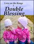 Double Blessing synopsis, comments