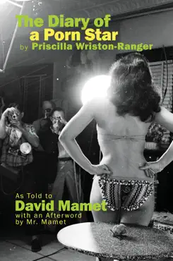 the diary of a porn star by priscilla wriston-ranger book cover image
