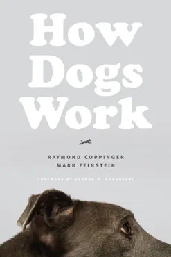how dogs work book cover image