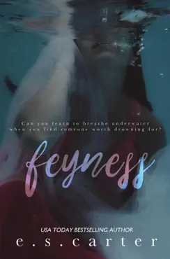 feyness book cover image