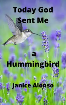 today god sent me a hummingbird book cover image