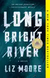 Long Bright River synopsis, comments